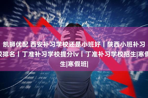 凯狮优配 西安补习学校还是小班好丨陕西小班补习学校排名丨丁准补习学校提分lv丨丁准补习学校招生|寒假班|