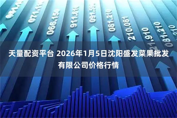 天量配资平台 2026年1月5日沈阳盛发菜果批发有限公司价格行情